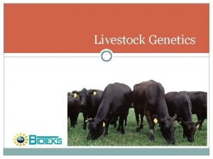 Livestock Genetics Objectives Explain how genetics relates to