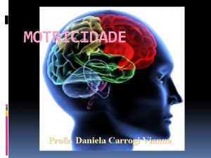 MOTRICIDADE Profa Daniela Carrogi Vianna MOTRICIDADE AUTOMTICA SISTEMA