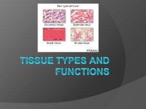 TISSUE TYPES AND FUNCTIONS Unit Map Follow Along
