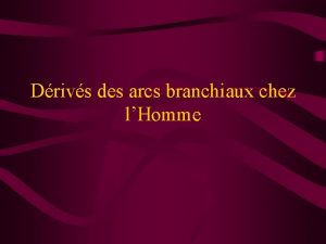 Drivs des arcs branchiaux chez lHomme I Lappareil