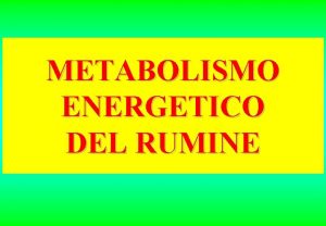 METABOLISMO ENERGETICO DEL RUMINE FERMENTAZIONE RUMINALE DEI POLISACCARIDI
