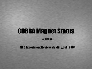 COBRA Magnet Status W Ootani MEG Experiment Review