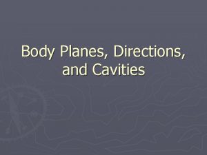 Body Planes Directions and Cavities Body Planes Directions