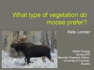 What type of vegetation do moose prefer Kate