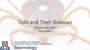 Ticks and Their Diseases Maureen Brophy MPH Ph