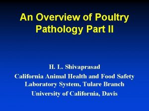 An Overview of Poultry Pathology Part II H