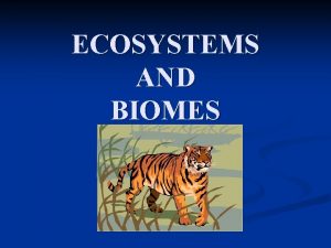 ECOSYSTEMS AND BIOMES LAND BIOMES TUNDRA n TEMPERATE