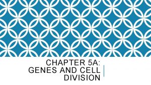 CHAPTER 5 A GENES AND CELL DIVISION GENES