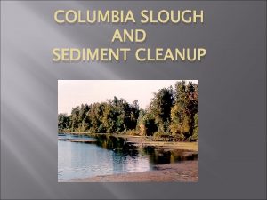 COLUMBIA SLOUGH AND SEDIMENT CLEANUP Columbia Slough Watershed