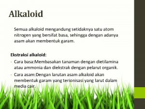 Alkaloid Semua alkaloid mengandung setidaknya satu atom nitrogen
