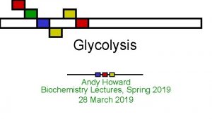 Glycolysis Andy Howard Biochemistry Lectures Spring 2019 28