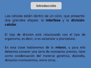 Introduccin Las clulas estn dentro de un ciclo