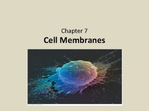Chapter 7 Cell Membranes Cell Membranes The plasma