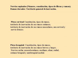 Nervios espinales Nmero constitucin tipos de fibras y