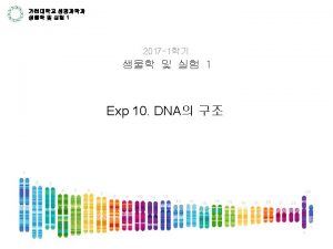 Purine Pyrimidine DNA Phosphdiester bond DNA vs RNA