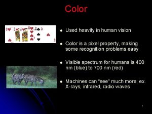 Color l Used heavily in human vision l