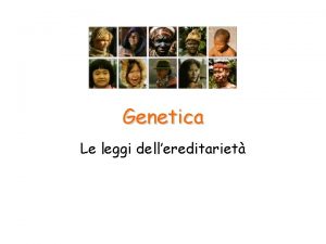 Genetica Le leggi dellereditariet Geni e alleli Le