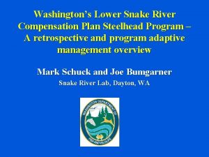 Washingtons Lower Snake River Compensation Plan Steelhead Program