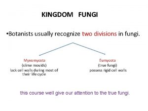 KINGDOM FUNGI Botanists usually recognize two divisions in
