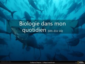 Biologie dans mon quotidien 101 Z 11 LG