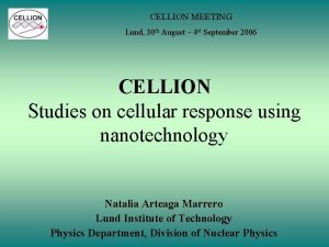 CELLION MEETING Lund 30 th August 4 st