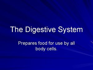 The Digestive System Prepares food for use by