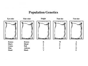 Population Genetics Eye color Hair color Height Nose