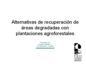 Alternativas de recuperacin de reas degradadas con plantaciones