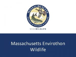 Massachusetts Envirothon Wildlife Pam Landry Mass Wildlife Education