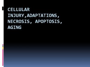 CELLULAR INJURY ADAPTATIONS NECROSIS APOPTOSIS AGING Cells Tissues