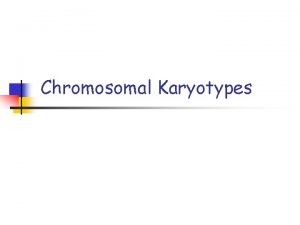 Chromosomal Karyotypes Chromosomes Definition n Genetic structures of