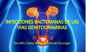 INFECCIONES BACTERIANAS DE LAS VIAS GENITOURINARIAS Dra MSc