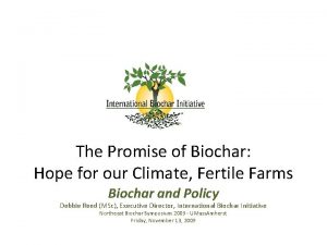 The Promise of Biochar Hope for our Climate