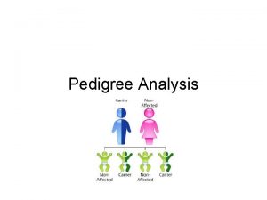 Pedigree Analysis Key Words or Phrases Pedigree Inheritance