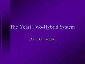 The Yeast TwoHybrid System Anne C Luebke What