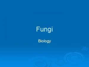 Fungi Biology Overview of Fungi Eukaryotic Nonphotosynthetic organisms