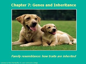 Chapter 7 Genes and Inheritance Family resemblance how