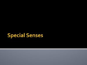 Special Senses Pg 115 Special Senses Special senses