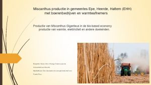 Miscanthus productie in gemeentes Epe Heerde Hattem EHH