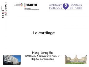 Le cartilage HangKorng Ea UMR 606 Universit Paris