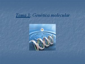 Tema 3 Gentica molecular 1 EL ADN LA