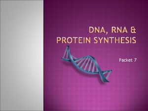 Packet 7 Notes DNA stands for DEOXYRIBONUCLEIC ACID