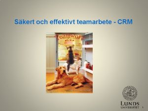 Skert och effektivt teamarbete CRM 1 Grundprincip fr