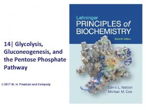 14 Glycolysis Gluconeogenesis and the Pentose Phosphate Pathway