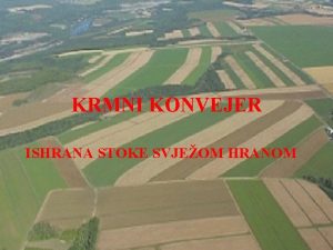 KRMNI KONVEJER ISHRANA STOKE SVJEOM HRANOM Pojam i