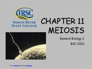 CHAPTER 11 MEIOSIS General Biology I BSC 2010