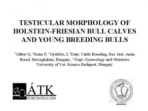 TESTICULAR MORPHOLOGY OF HOLSTEINFRIESIAN BULL CALVES AND YOUNG