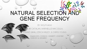 NATURAL SELECTION AND GENE FREQUENCY BY WOLFGANG RUBI