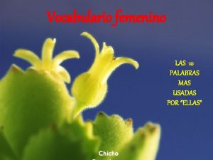 Vocabulario femenino LAS 10 PALABRAS MAS USADAS POR