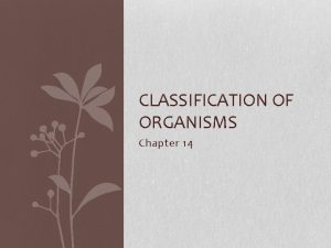 CLASSIFICATION OF ORGANISMS Chapter 14 Why Classify Why
